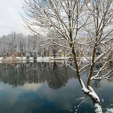 Сонячна Квітка Polyana (Transcarpathia)